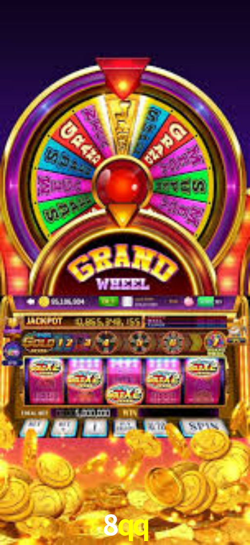 Interface Premium 8qq